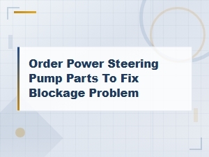 Power Steering Pump Parts to Clear Hydraulic System Blockages